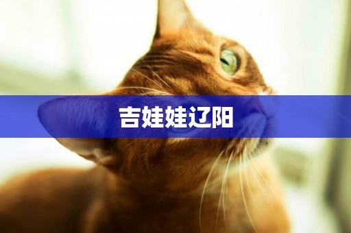 吉娃娃遼陽