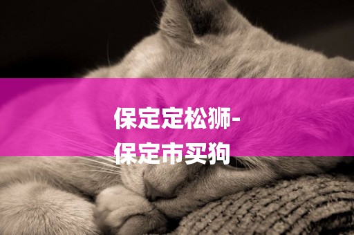 保定定松獅-
保定市買狗