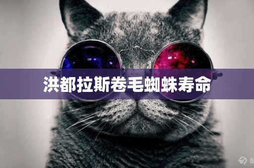 洪都拉斯卷毛蜘蛛壽命