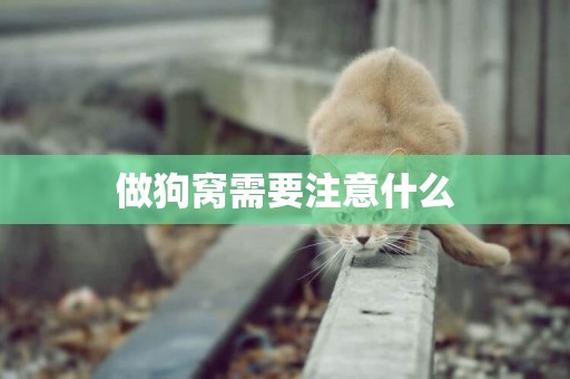 做狗窩需要注意什么