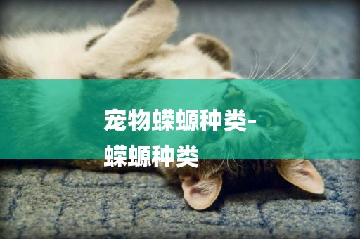 寵物蠑螈種類-
蠑螈種類