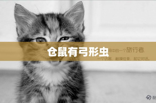 倉鼠有弓形蟲