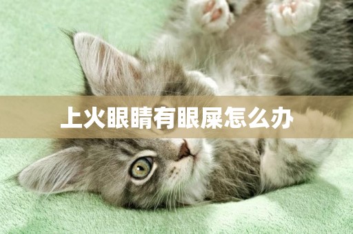 上火眼睛有眼屎怎么辦
