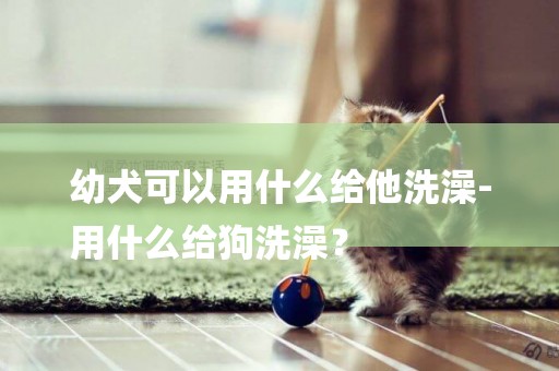幼犬可以用什么給他洗澡-
用什么給狗洗澡？