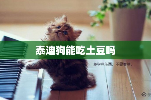 泰迪狗能吃土豆嗎