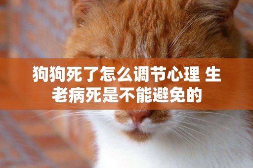 狗狗死了怎么調節心理 生老病死是不能避免的