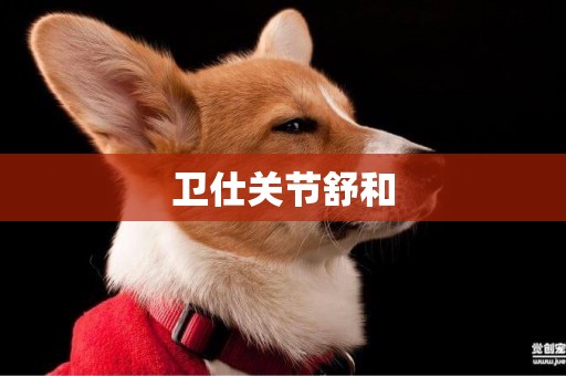 衛仕關節舒和