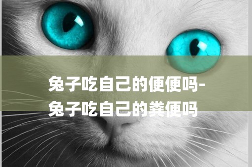 兔子吃自己的便便嗎-
兔子吃自己的糞便嗎