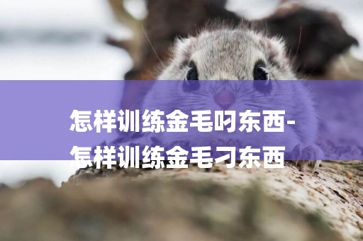 怎樣訓練金毛叼東西-
怎樣訓練金毛刁東西