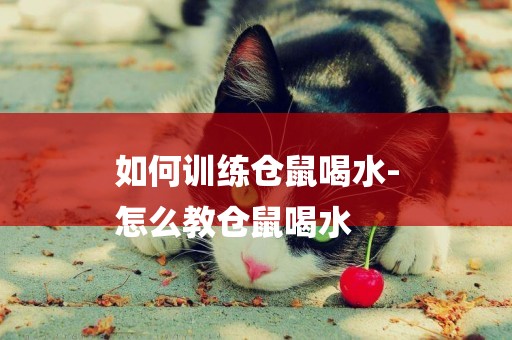 如何訓練倉鼠喝水-
怎么教倉鼠喝水
