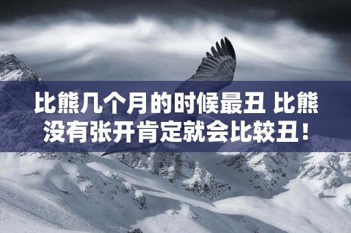 比熊幾個月的時候最丑 比熊沒有張開肯定就會比較丑！