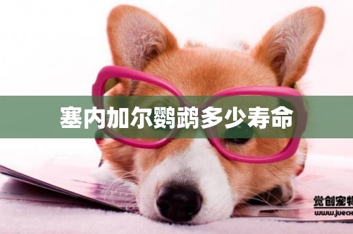 塞內加爾鸚鵡多少壽命