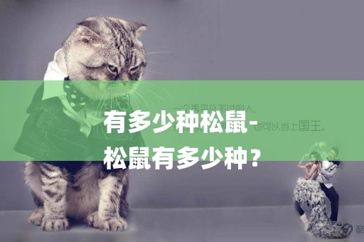 有多少種松鼠-
松鼠有多少種？