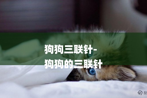 狗狗三聯針-
狗狗的三聯針