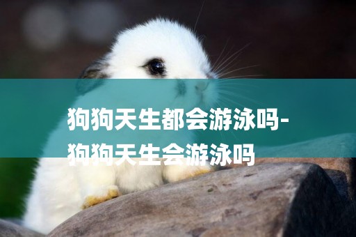 狗狗天生都會游泳嗎-
狗狗天生會游泳嗎