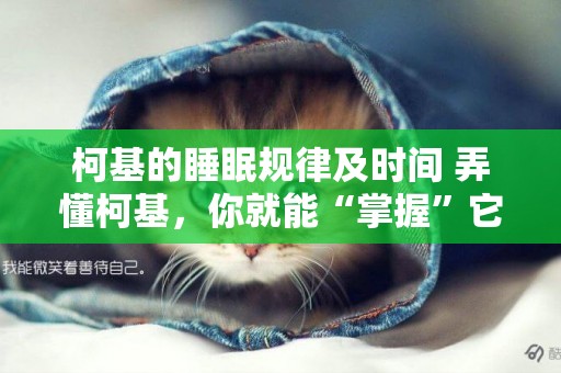 柯基的睡眠規律及時間 弄懂柯基，你就能“掌握”它了！