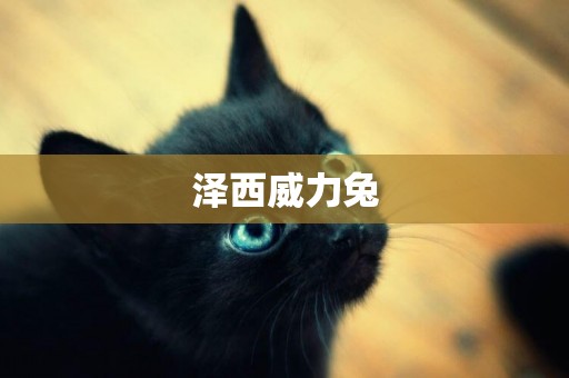 澤西威力兔