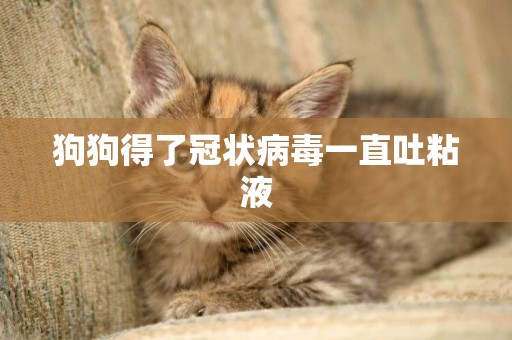 狗狗得了冠狀病毒一直吐粘液