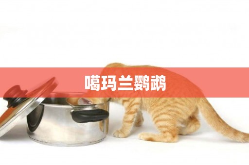 噶瑪蘭鸚鵡