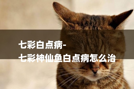 七彩白點病-
七彩神仙魚白點病怎么治