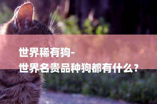 世界稀有狗-
世界名貴品種狗都有什么？