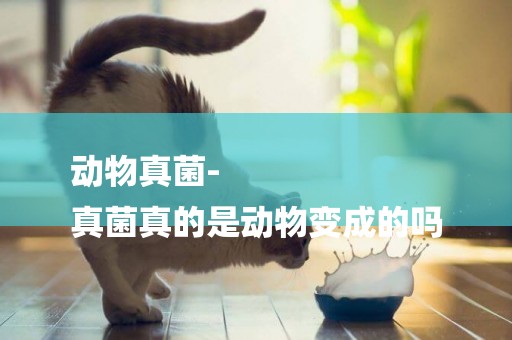 動物真菌-
真菌真的是動物變成的嗎