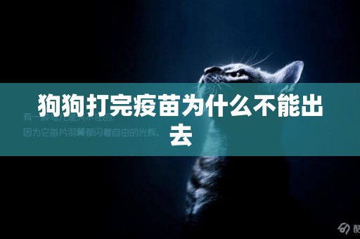狗狗打完疫苗為什么不能出去