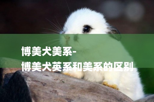 博美犬美系-
博美犬英系和美系的區別