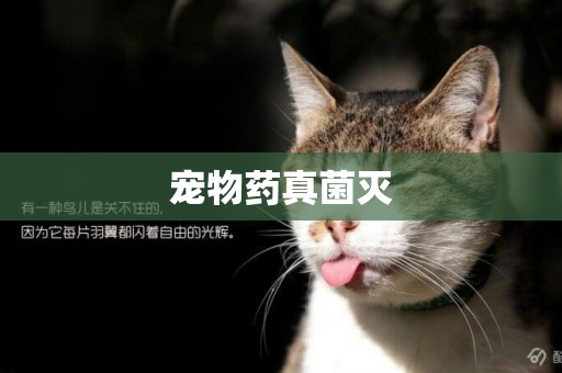 寵物藥真菌滅