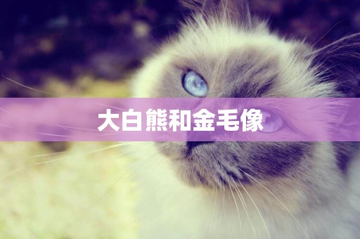 大白熊和金毛像