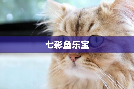 七彩魚樂寶