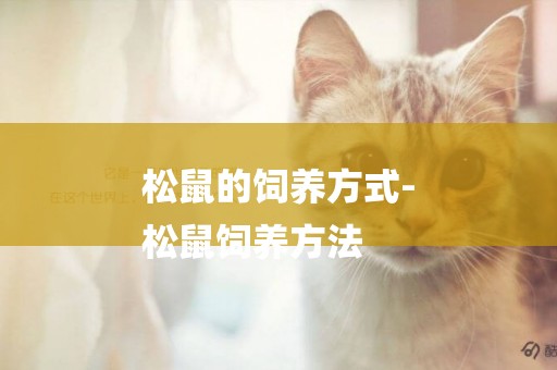 松鼠的飼養方式-
松鼠飼養方法