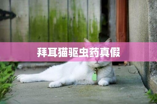 拜耳貓驅蟲藥真假