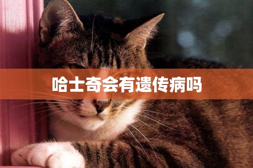 哈士奇會有遺傳病嗎