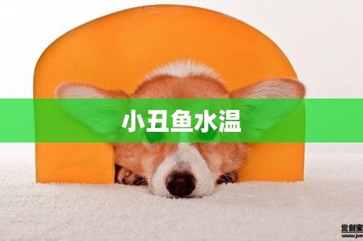 小丑魚水溫