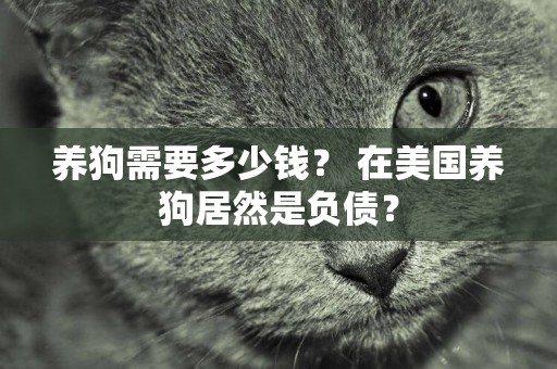 養狗需要多少錢? 在美國養狗居然是負債? 養狗需要多少錢? 在美國養狗居然是負債?