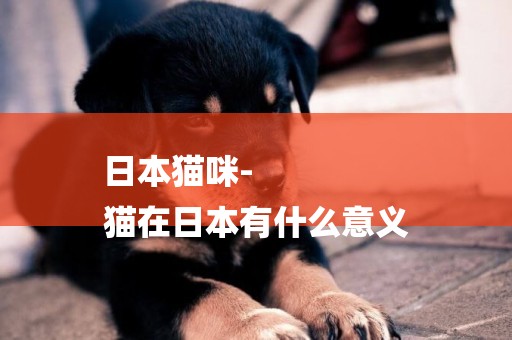 日本貓咪-
貓在日本有什么意義
