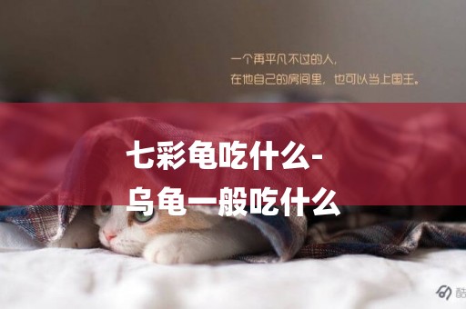 七彩龜吃什么-
烏龜一般吃什么