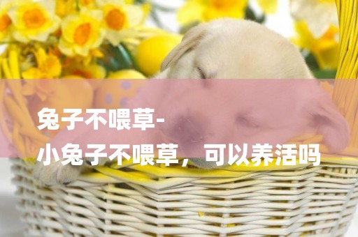 兔子不喂草-
小兔子不喂草，可以養活嗎