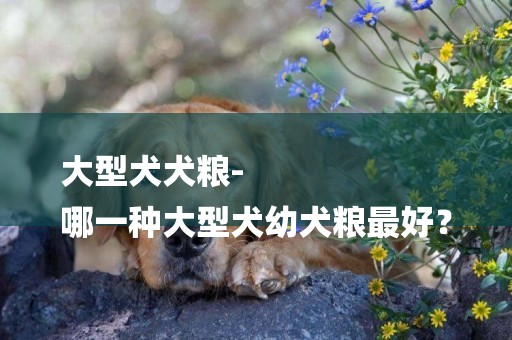 大型犬犬糧-
哪一種大型犬幼犬糧最好？