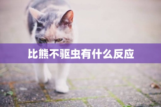 比熊不驅蟲有什么反應