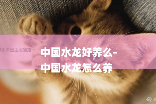 中國水龍好養么-
中國水龍怎么養