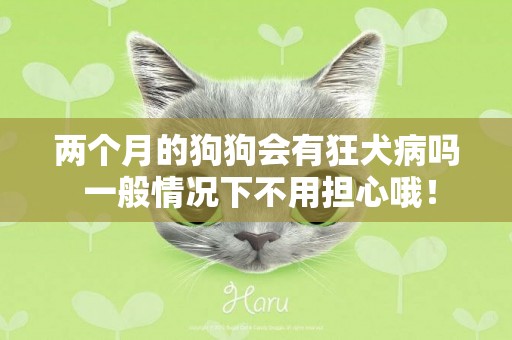 兩個月的狗狗會有狂犬病嗎 一般情況下不用擔心哦！