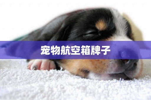 寵物航空箱牌子