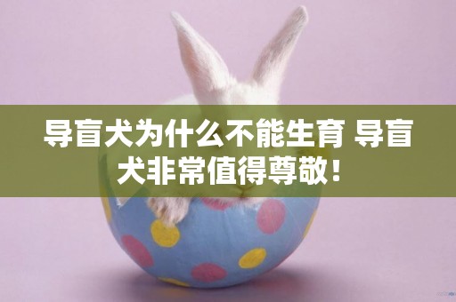 導盲犬為什么不能生育 導盲犬非常值得尊敬！
