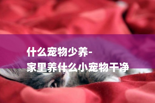 什么寵物少養-
家里養什么小寵物干凈