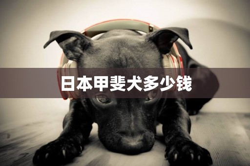 日本甲斐犬多少錢