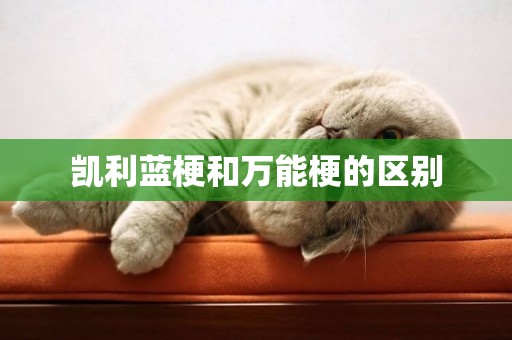 凱利藍梗和萬能梗的區別