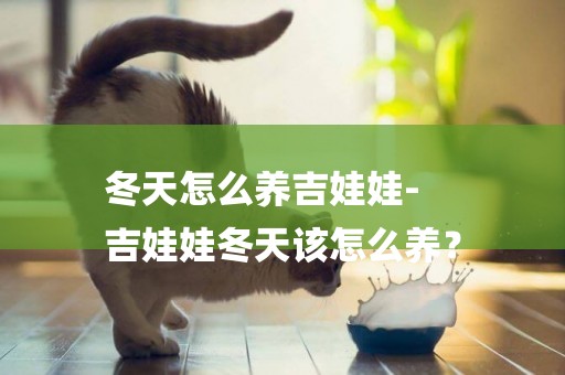 冬天怎么養吉娃娃-
吉娃娃冬天該怎么養？