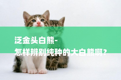 泛金頭白熊-
怎樣辨別純種的大白熊啊？